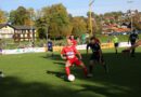 Union Zell am Moos – SV Mauerkirchen 7:0 (2:0)